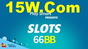 66BB App Interface